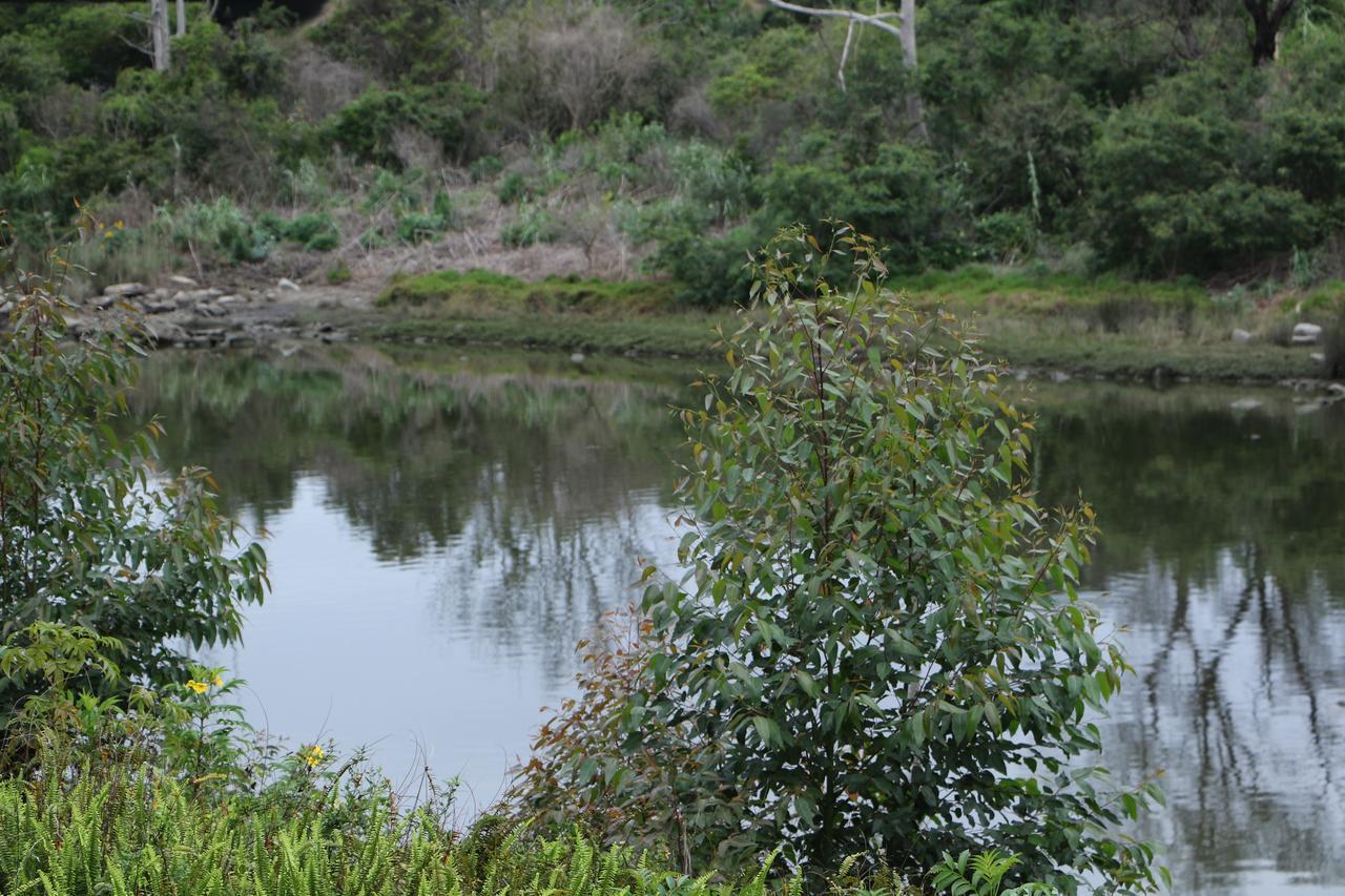 Forword'S River Lodge 东伦敦 外观 照片